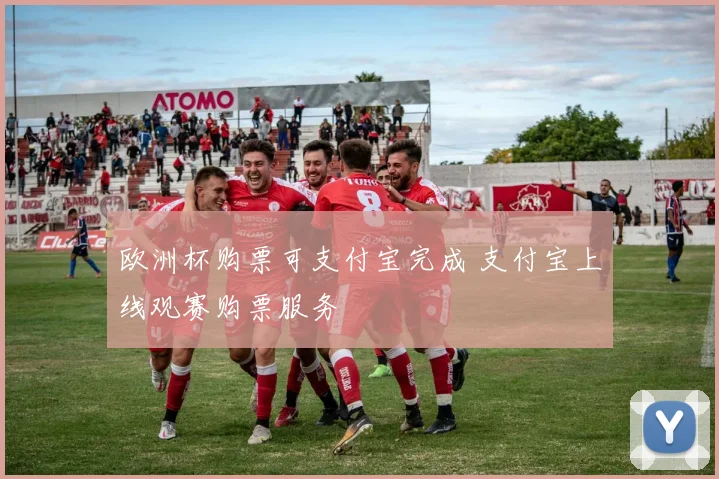 欧洲杯购票可支付宝完成 支付宝上线观赛购票服务