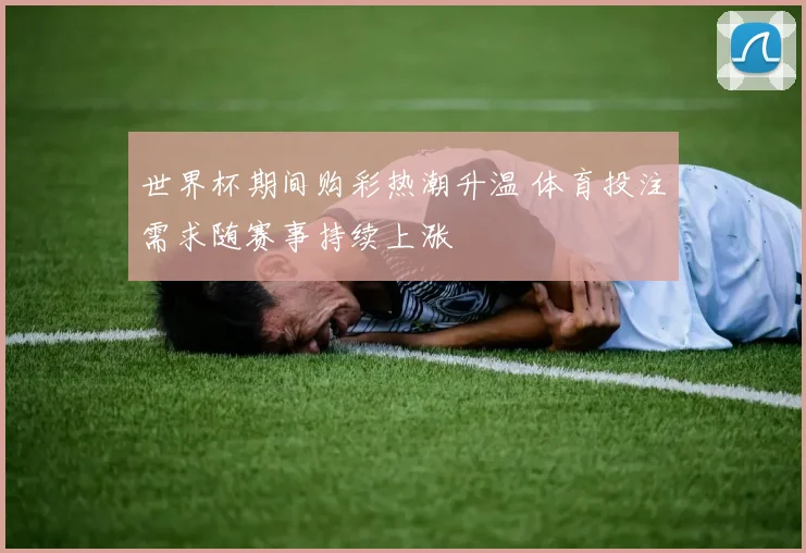 世界杯期间购彩热潮升温 体育投注需求随赛事持续上涨